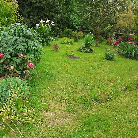 Charme Et Authenticite En Foret Maine Normandie : Demeure Renovee Avec Jardin, Ideale Pour Sejour Detente - Fr-1-410-186 Crisse